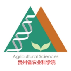 贵州省农业科學(xué)院贵州省油菜研究所